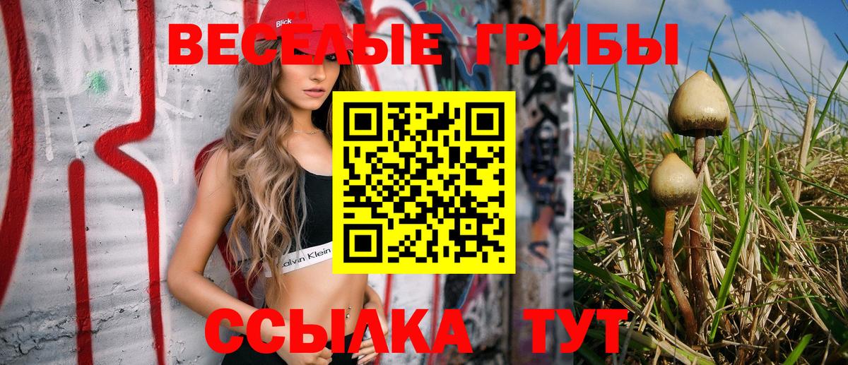 Галлюциногенные грибы MAGIC MUSHROOMS  Вход с VPN  Жигулёвск 