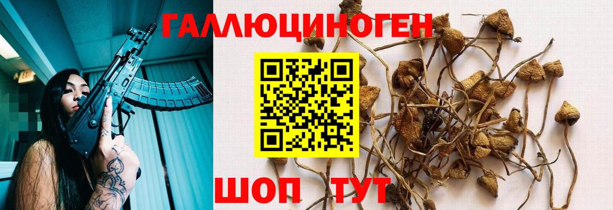 купить наркоту  Жигулёвск  Псилоцибиновые грибы Psilocybe 